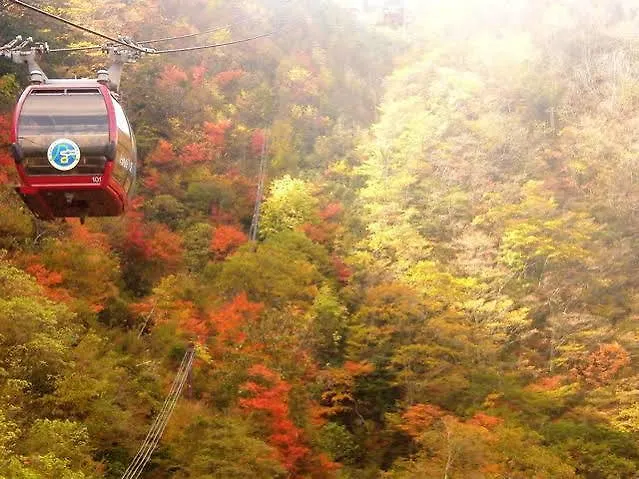 Merveille Hakone Gora
